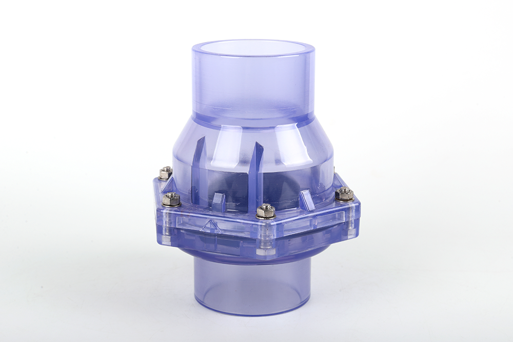 江陵透明翻板式止回阀